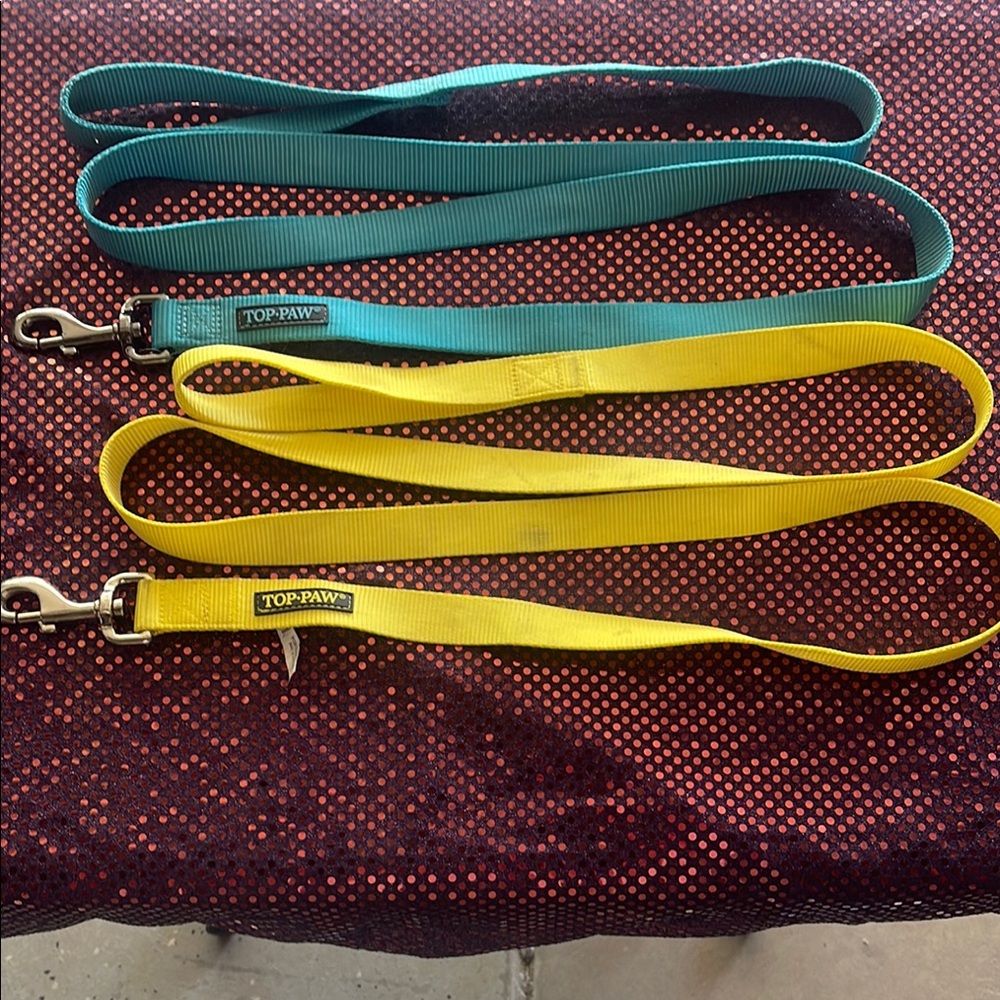 Top Paw Dog Leash Set - Teal and Yellow